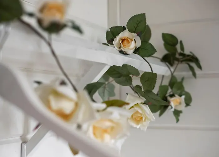 酒店 Ik & 凯乌鲁